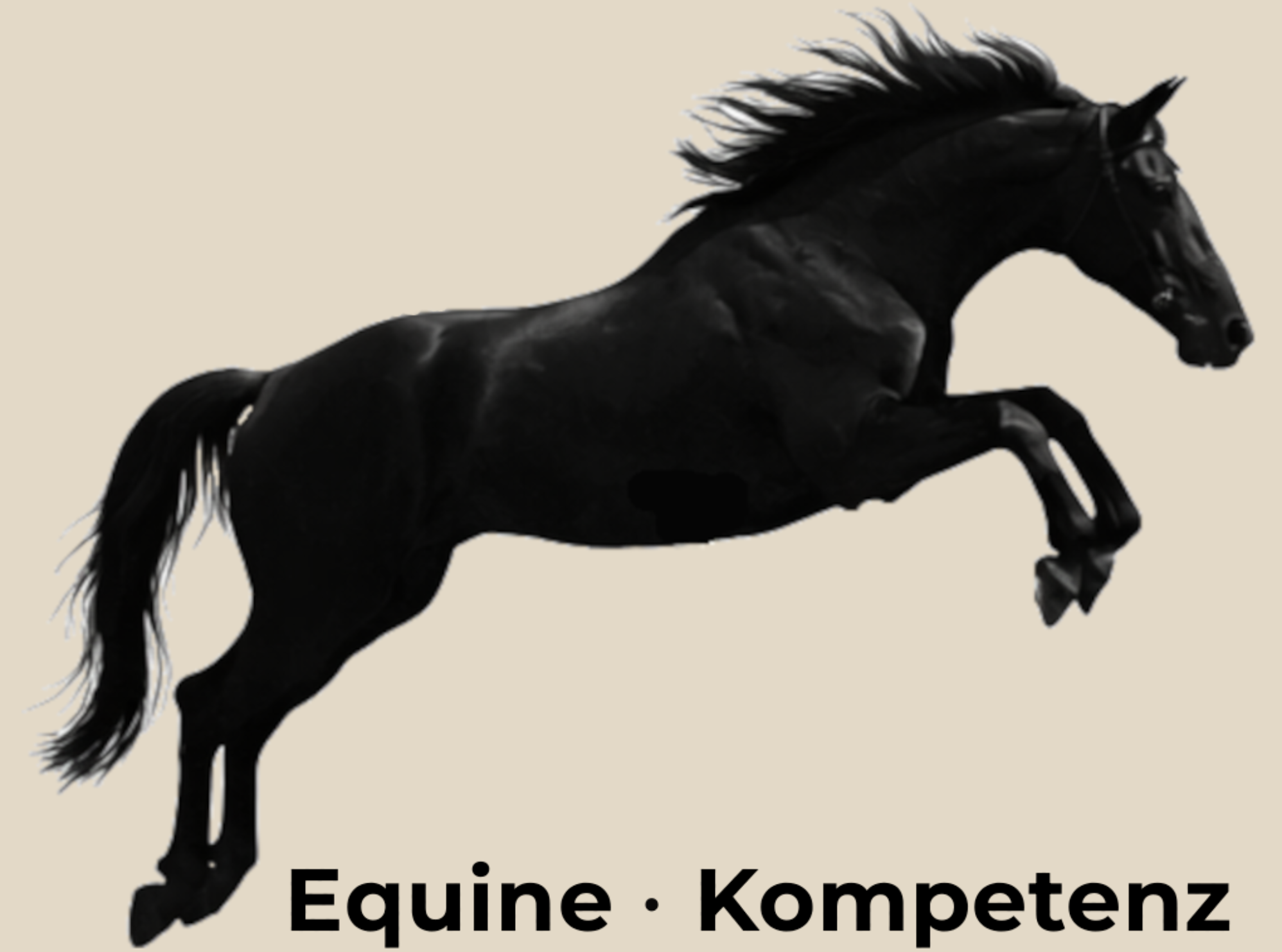 Equine – Kompetenz